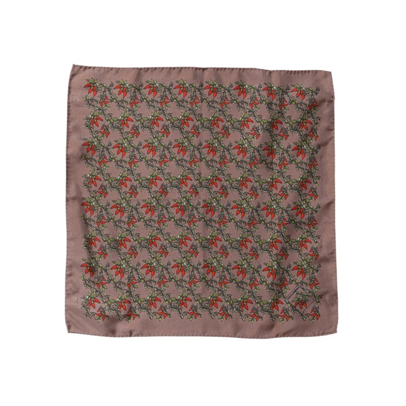Dolce & Gabbana Brown Chilis Silk Square Men Foulard Scarf