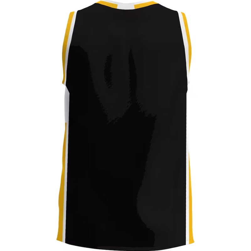 A.Pine Bluff Golden Lions GameDay Greats Lightweight Basketball Jersey – Gold Stitched American College Jerseys