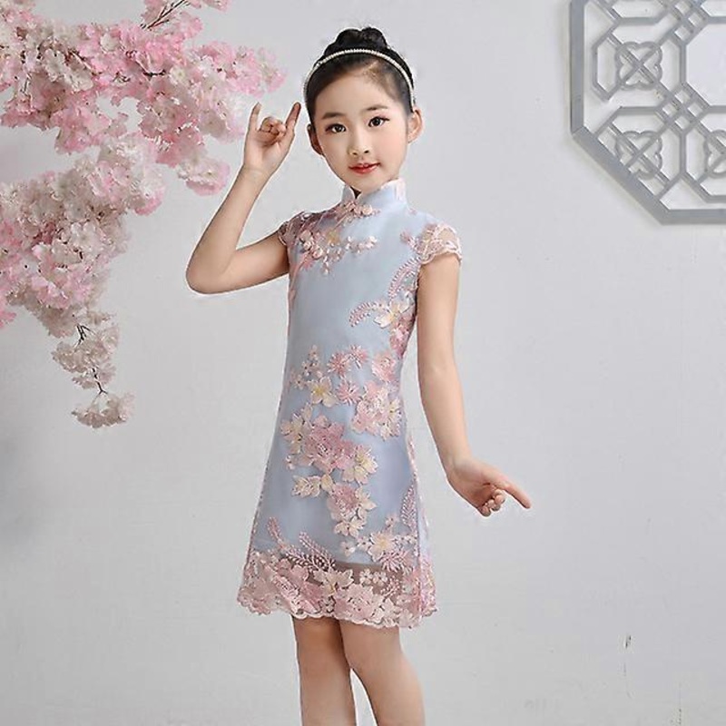 JWL-Summer Lace Short Sleeve Girls Dress Cute Princess Toddler Girls Flower Embroidery Dresses Kids Party Ball Gown Clothing | Fruugo SG