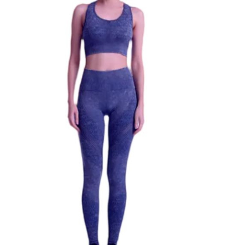 Women Seamless Sportswear Set Tight-Fitting Shorts Yoga Wear – Sportswear Set price|L
