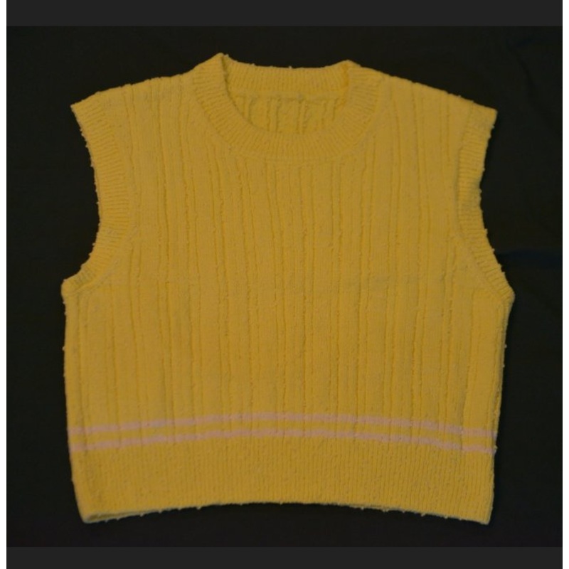 Fashion Garment Cropped Sweater Sleeveless Vest for Young Women Ladies – Women Fashion and Women Clothes price|S
