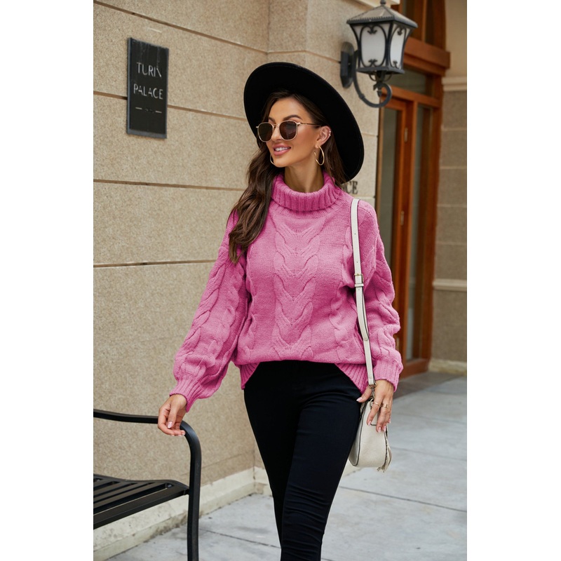 Womens 2023 Winter Fall Solid Chuncky Turtleneck High Neck Balloon Long Sleeve Sweaters Pullover Outerwear – Women Fashion and Women Clothes price|S