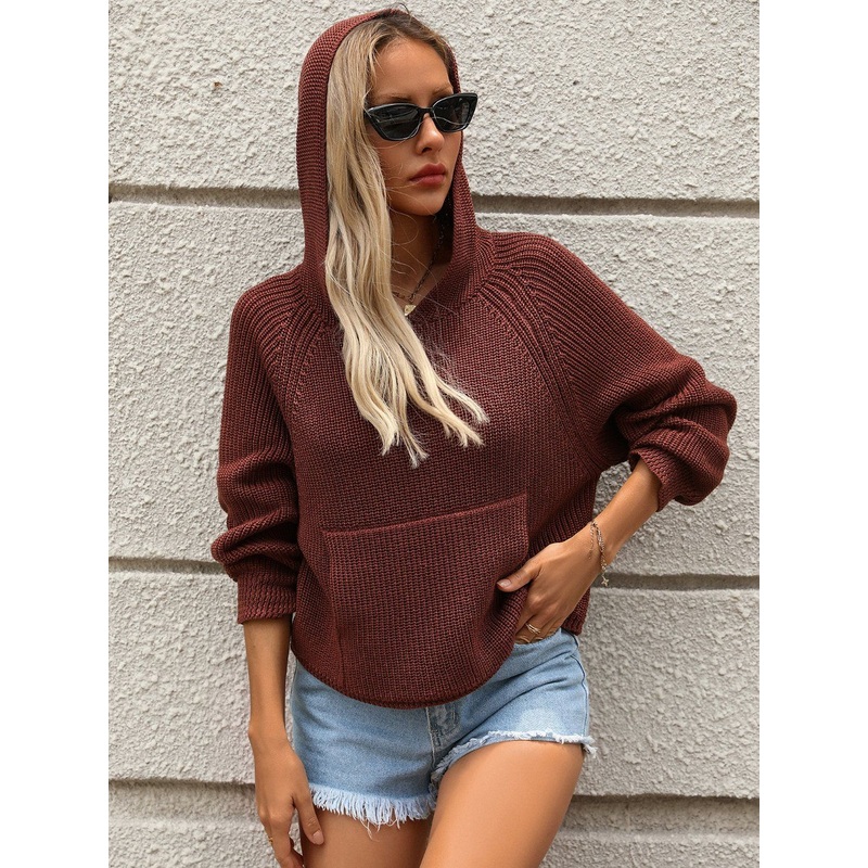 Ladies Sweater Hoodies Women Fashion Knitting Sweater Hoodies – Sweater and Ladies Sweater price|S